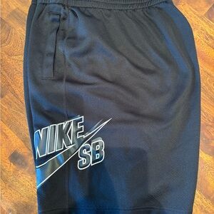 Nike SB shorts men’s XXL